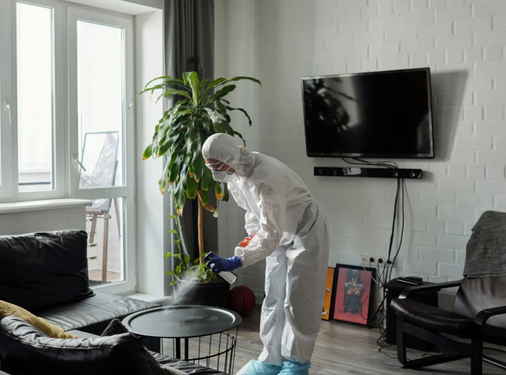 Trabajamos en zonas residenciales para tratamientos contra chinches, cucarachas u otros insectos en áreas comunes del hogar.